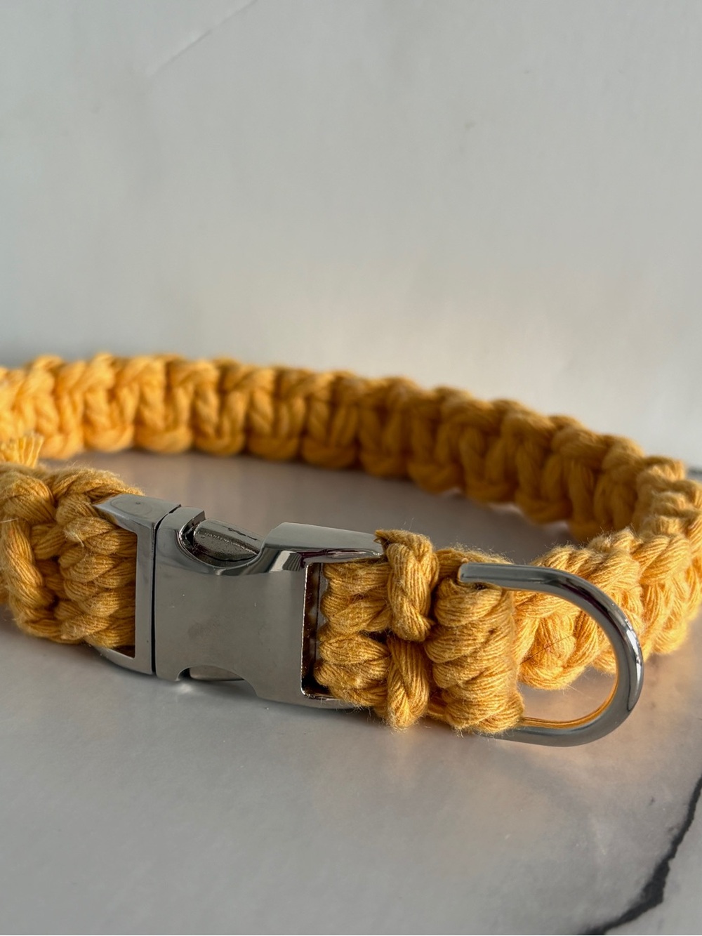 Gold Dog Collar- Size M 15”